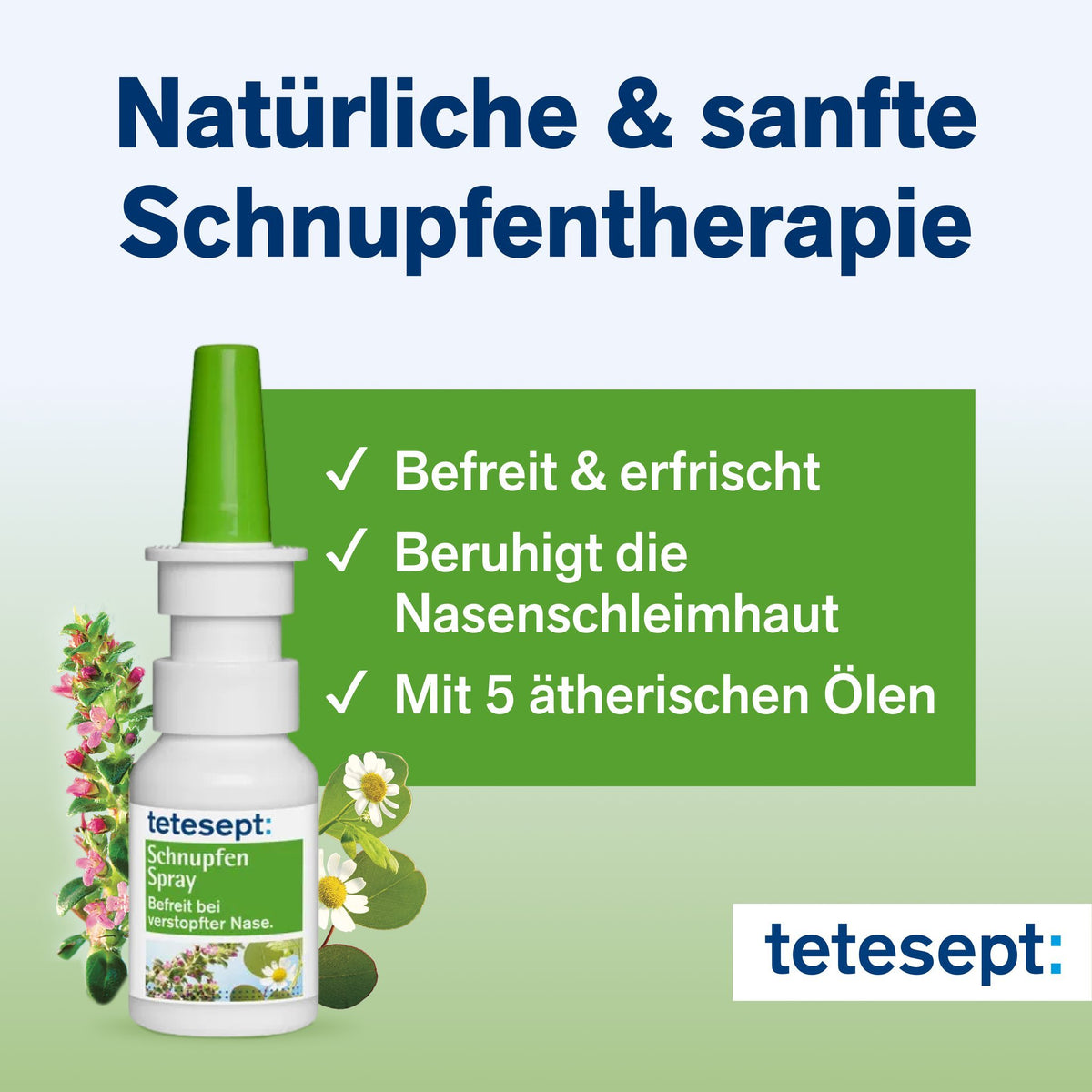 tetesept Schnupfen Spray
