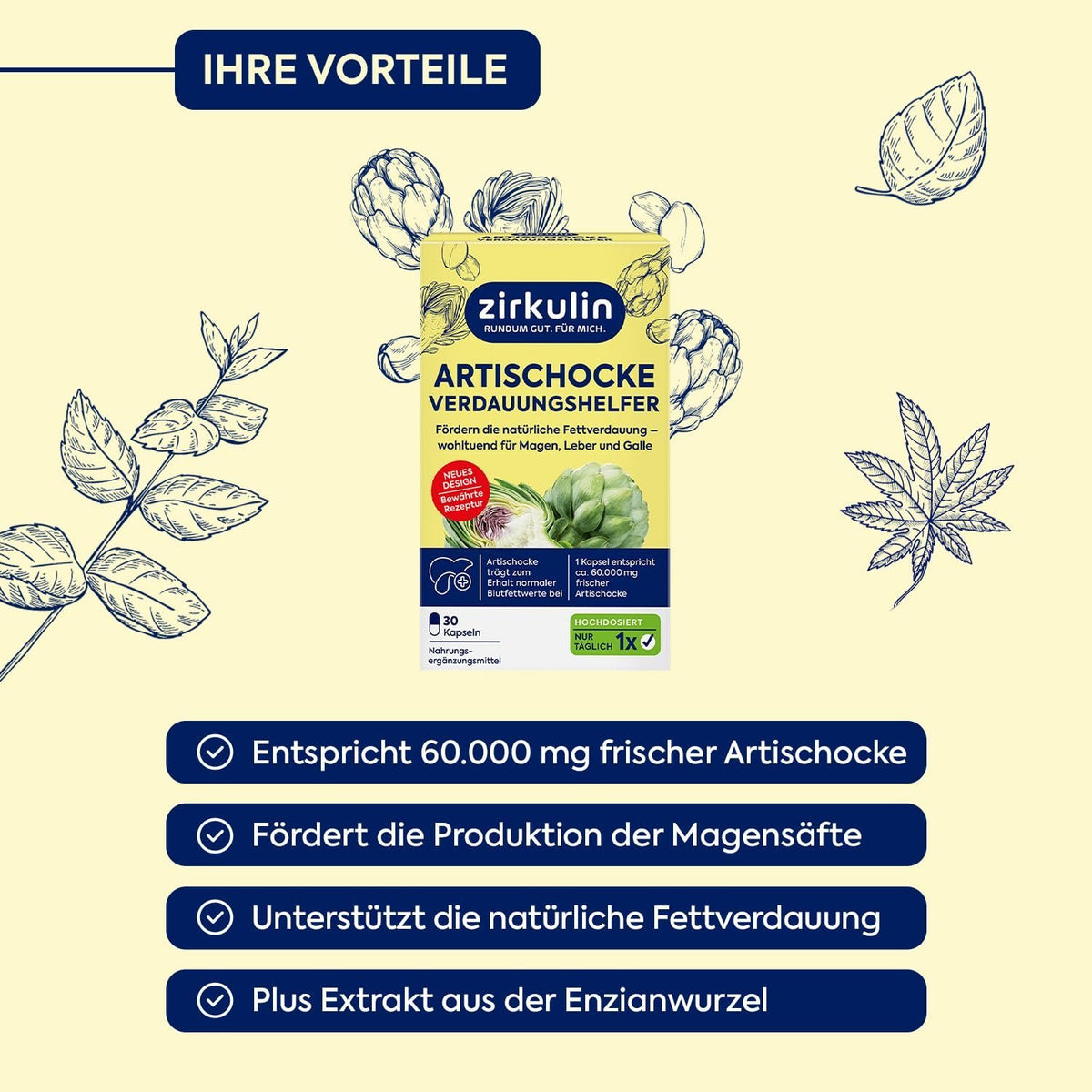 Zirkulin Artischocke Verdauungshelfer
