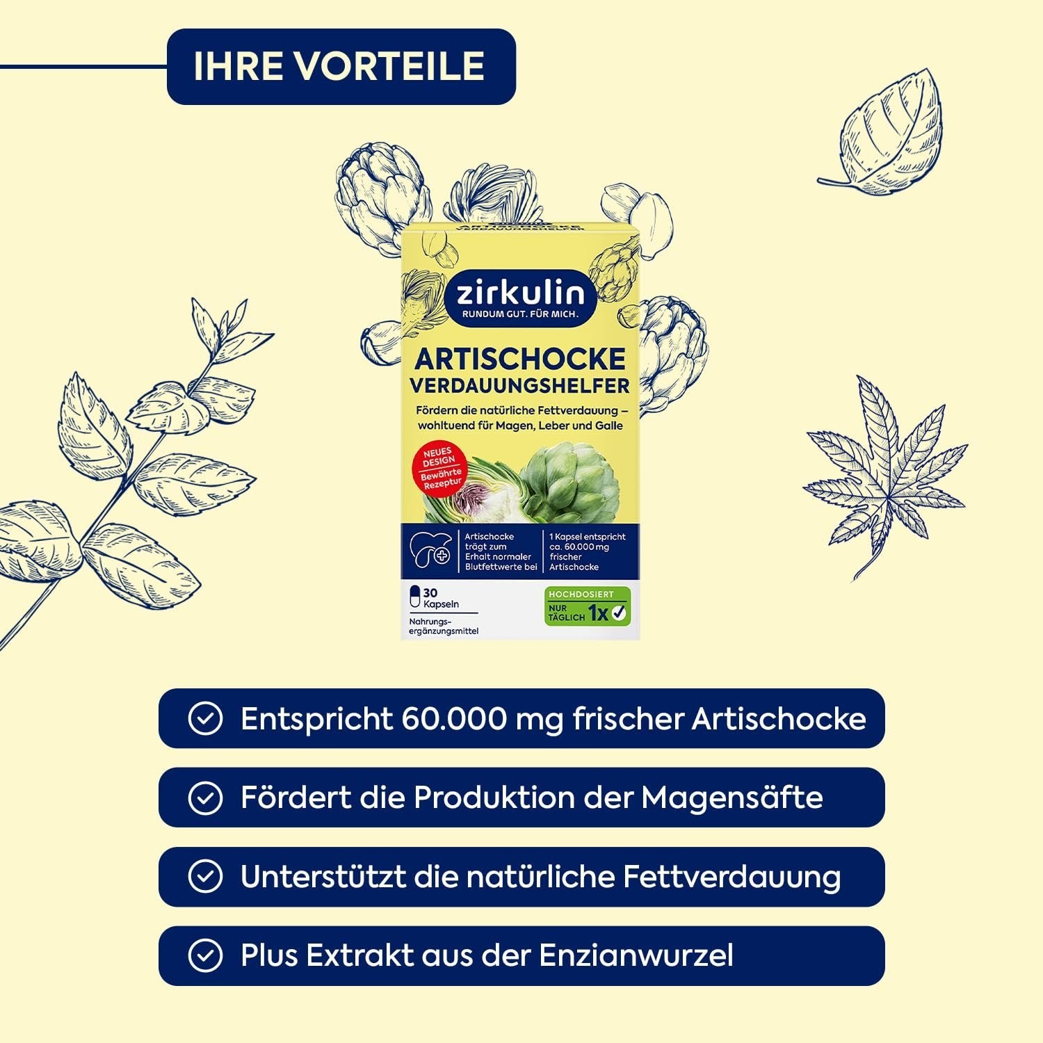 Zirkulin Artischocke Verdauungshelfer