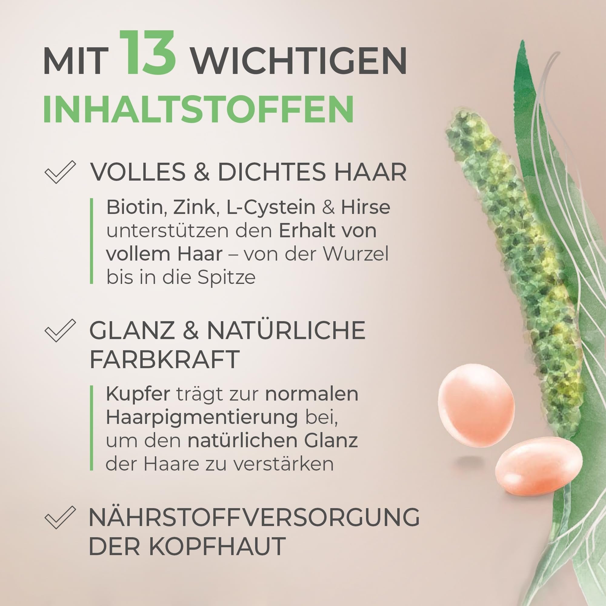Merz Spezial Haar-Activ Dragees
