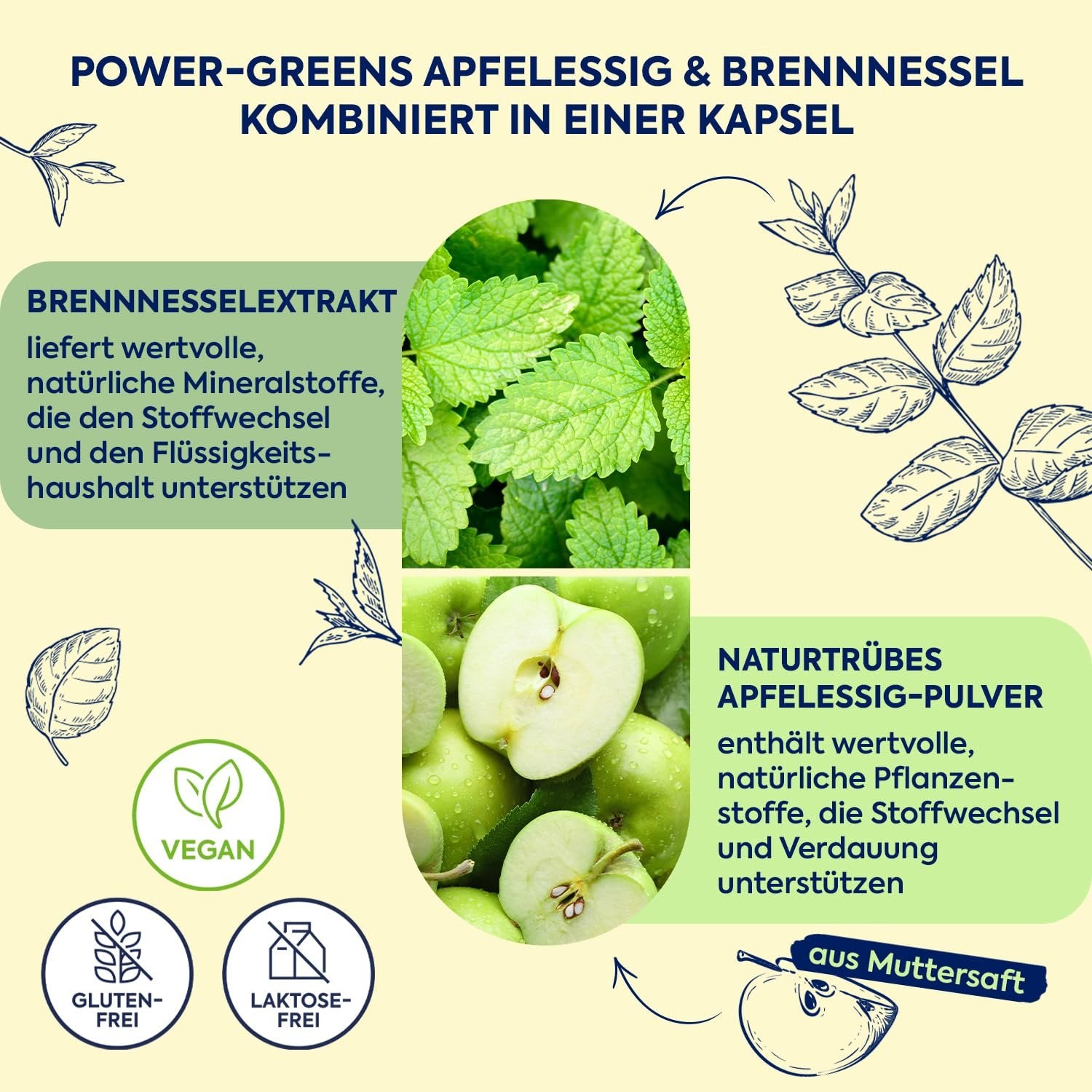 Infografik mit Nahaufnahmen von Brennnesselblättern und Äpfeln, erklärt Inhaltsstoffe und Vorteile.