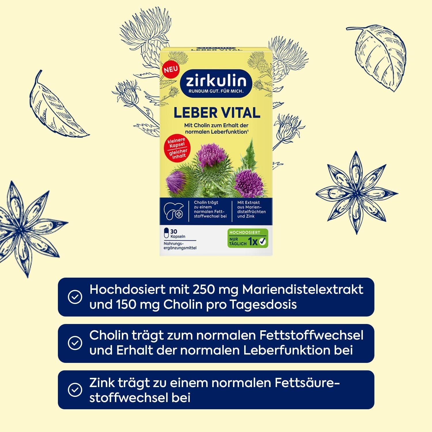 Zirkulin Leber Vital
