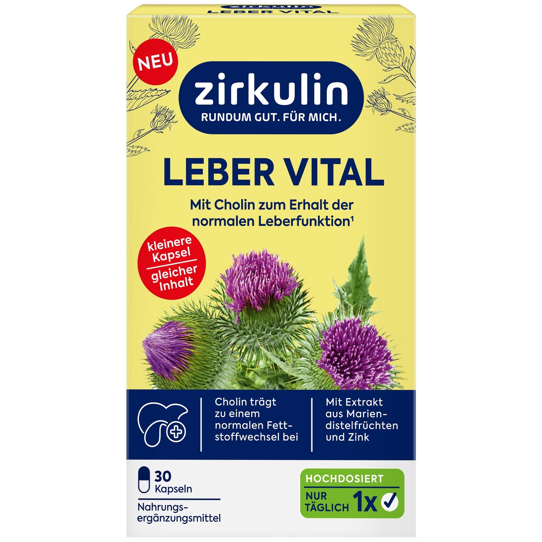 Zirkulin Leber-Vital hochdosiert 30er 26g – Produktbild